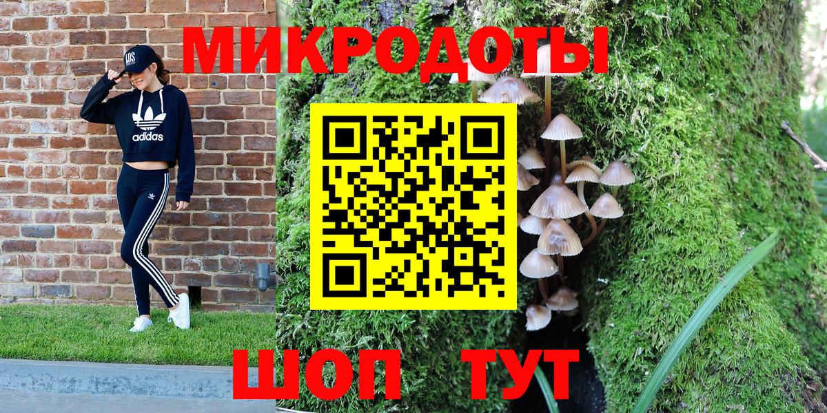 Псилоцибиновые грибы Psilocybine cubensis Киселёвск
