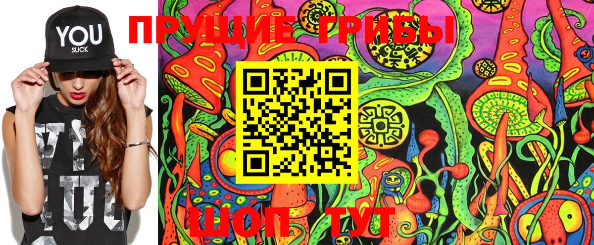 Псилоцибиновые грибы MAGIC MUSHROOMS  Вход с VPN  Киселёвск 